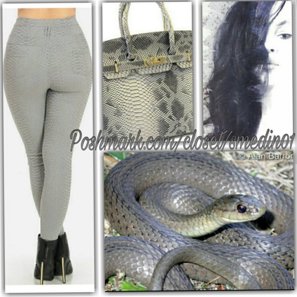 Snake Gray Pattern Pants